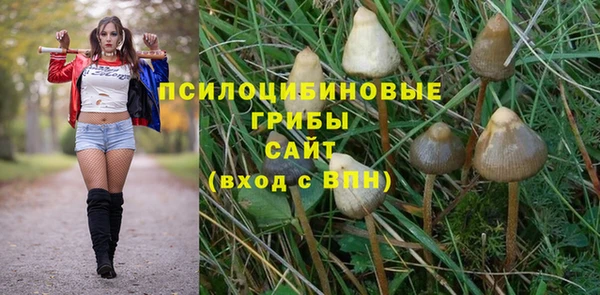 мяу мяу мука Алексеевка