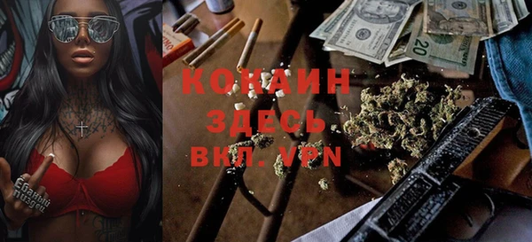 МДПВ Алзамай