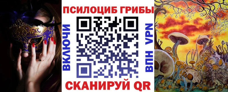 наркошоп  Перевоз  Псилоцибиновые грибы GOLDEN TEACHER 